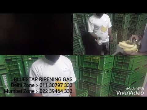 Bluestar Ripening Gas