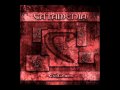 Catamenia - The Vulture's Feast 
