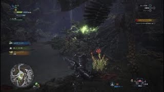［MHW］第1回　やってみたけども