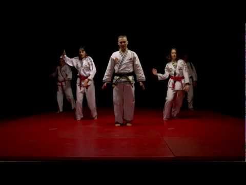 Daehan Minguk Hapkido Austria