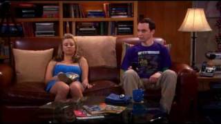 The Big Bang Theory - i&#39;m just talking about bees