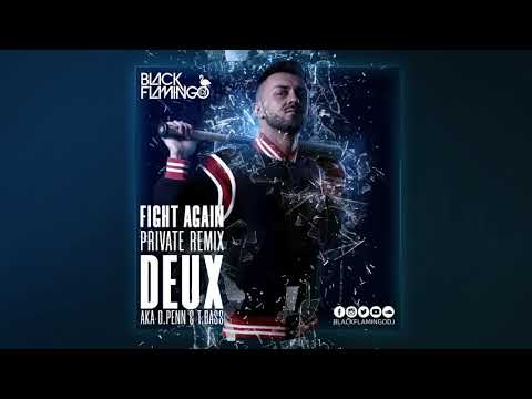 Fight Again - Deux aka David Penn & T. Bass | BLACK FLAMINGO DJ REMIX