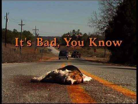 Thumbnail for It's Bad you Know, The blues according to Fat Possum ( 1999 ) by Burns