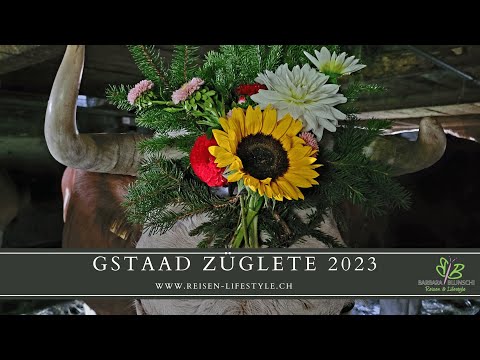 Gstaad Züglete - Alpabzug 2023 - reisen-lifestyle.ch