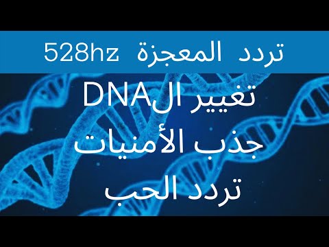 تردد المعجزة 528hz تغيير الDNA || جذب الحب 💞 تحقيق الأهداف ||  الوصف مهم || Rainbow 𝙫𝙤𝙧𝙩𝙚𝙭