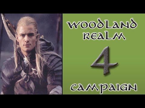 TATW: DaC V2.2 Woodland Realm TWC: 4 - A coordinated push