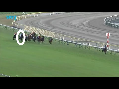 Crazy Horse Race Finish - Equinox Tenno Sho G1