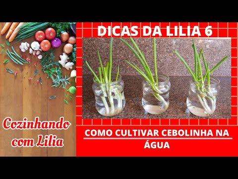 , title : 'DICAS DA LILIA6 - Como cultivar cebolinha na água'
