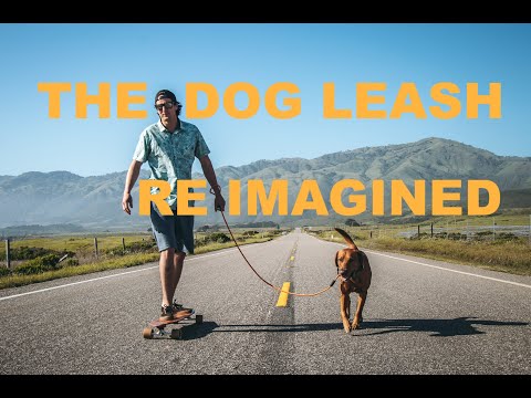 You do more.  Your leash should too.