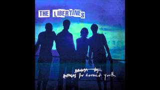 The Libertines   Dead For Love