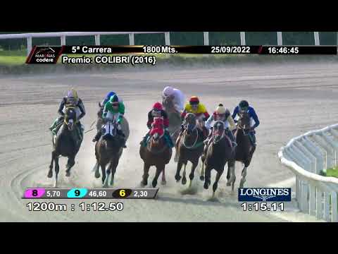 220925 c05 SALAH (BRZ)