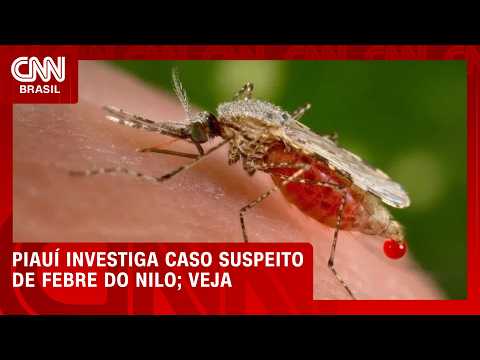 Ministério da Saúde investiga possível caso de Febre do Nilo no Piauí | Bastidores CNN