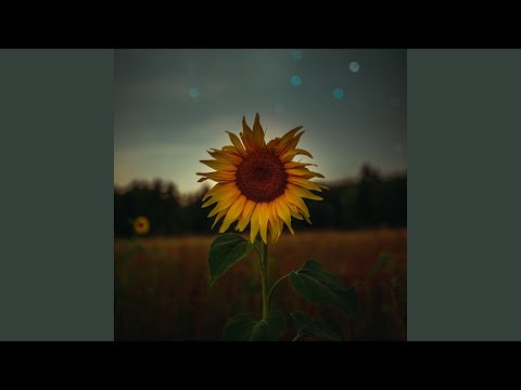 Everything i need (feat. ouuflyy)