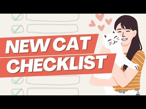 Top 6 Essentials for New Cat Parents (You NEED These!)