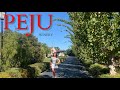 Best Wineries in Napa (for a fun activity) - Peju | Wine Tasting in the Napa Valley