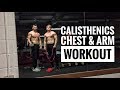 Calisthenics Chest & Arms Workout | Bodyweight Bodybuilding | Alan Finn