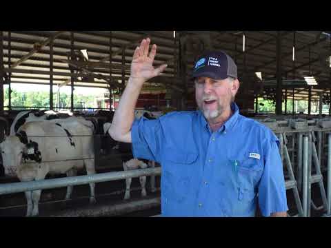 Hillcrest Farms- Georgia