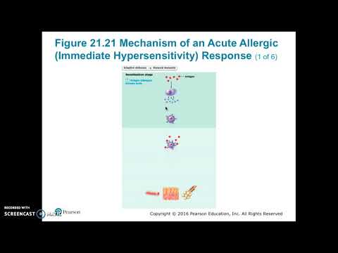 Cellular Immunity 3: transplants, allergies, dev aspects