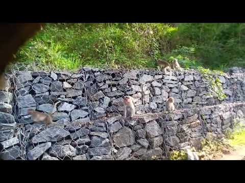 On the way to Ooty from Mettupalayam