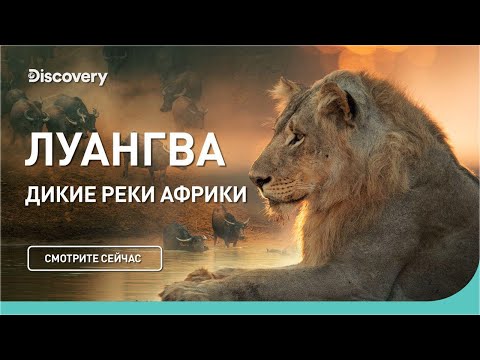 Луангва. Дикие реки Африки