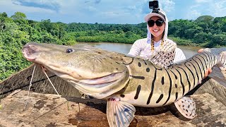 I Hiked 1 Hour in the Jungle to Catch this Fish! (Tiger Shovel Nose Catfish)