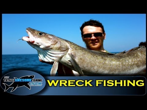 download lagu mp3 mp4 What Is Ling Fish, download lagu What Is Ling Fish gratis, unduh video klip What Is Ling Fish