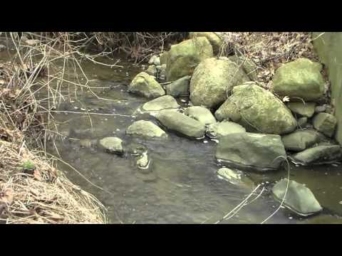 What Mania Feels Like