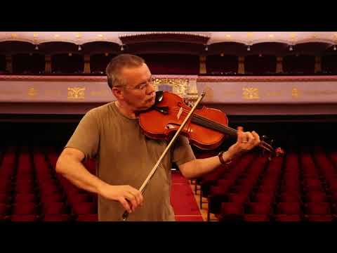Professional Viola 16.5′ Hand-Made in Romania #25 image 15