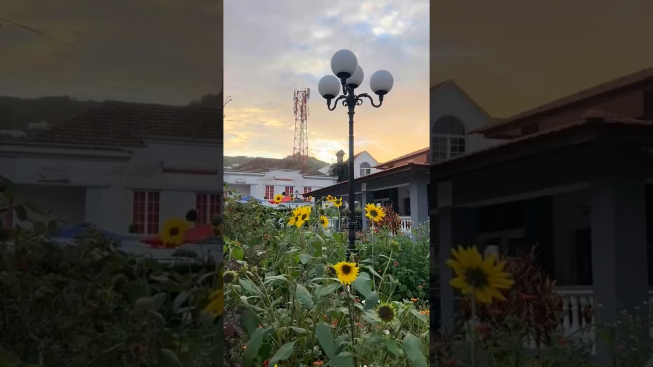 Alt Text: A detailed cross-section diagram of a modern car engine, highlighting key components like pistons and valves. Im...