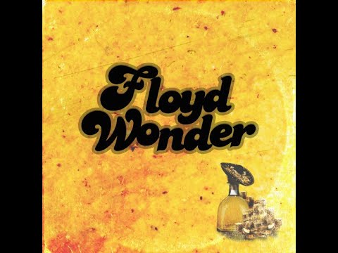 FLOYD WONDER - mas queso (Bass Boosted)