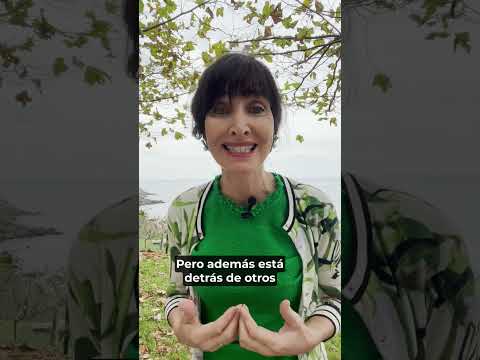 Causa principal de una acidez de estómago crónica