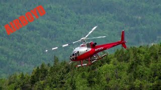 preview picture of video 'Temsco Helicopters Arriving Skagway'