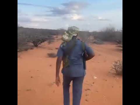 Muuqaalkii saakay   Ceel-lahelay .Yaase gacanta ku haya magaaladda xilligan. kuso dhawada dawayal