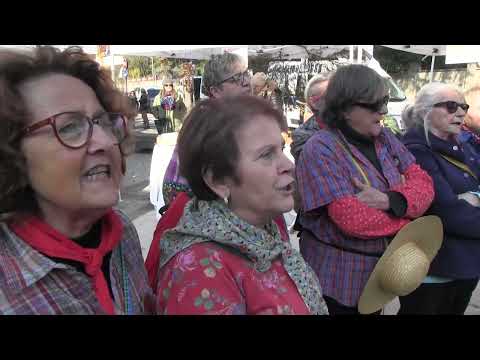355' Ancient Fair of San Martino "The Rice Weeders of Novi (MO)" "Weeding Song"