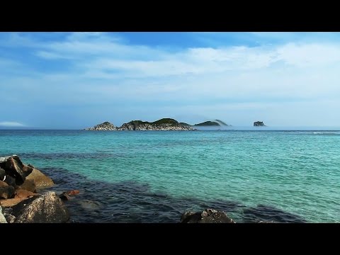 Relaxing Instrumental Music - Peaceful - 1080p HD Landscape Nature Scenes