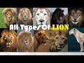 All Types Of Lion Types Of Living Extinct Lion In The World Living Extinct Lion Subspecies