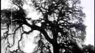 Roedelius -Wenn der Sudwind whet