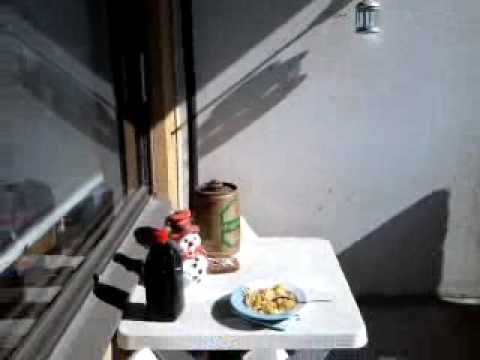 Aurinkoinen päivä 17.4.2011