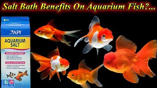 Salt Bath For Aquarium Fish!... How To Give Salt Bath?.. Its Benefits And Uses / Fish Aquarium Tamil