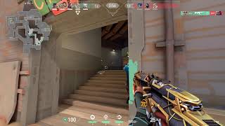 テスト配信