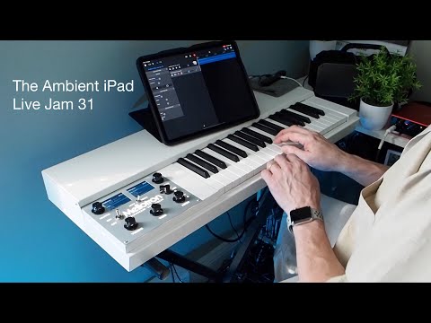 Ambient iPad Live Jam 31: Mellotron M4000D (Flute and Piano), Eventide Blackhole, GarageBand
