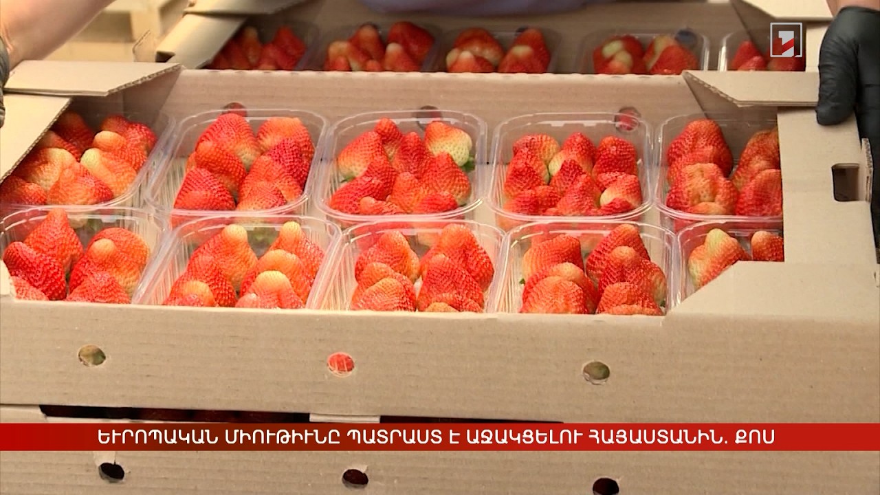 Արեւմտահայերէն լուրեր. Հոկտեմբեր 7. 2026