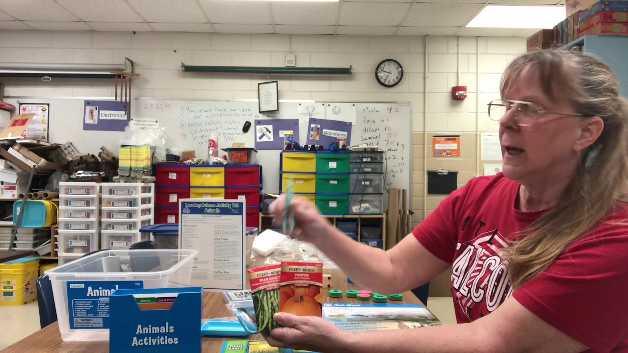 Guide to STEM Science Kit - Animals