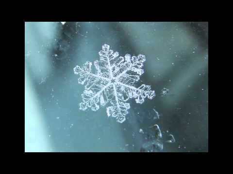 The Russian Futurists - Its Not Really Cold When It Snows