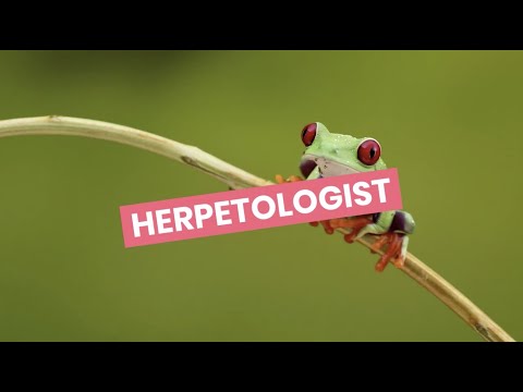 Herpetologist video 2