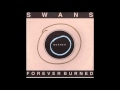 Love Will Tear Us Apart (M. Gira Version) by Swans ...