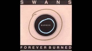 Love Will Tear Us Apart (M. Gira Version) by Swans