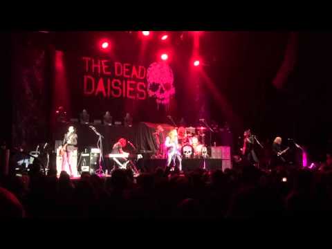 The Dead Daisies - Midnight Moses