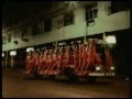 Himani Fast Relief The Human Machine