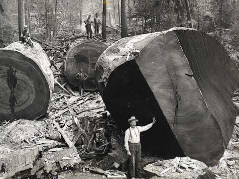 Lumber On - Jack Harris And His Orchestra, From The Embassy Club - Parlophone R 234